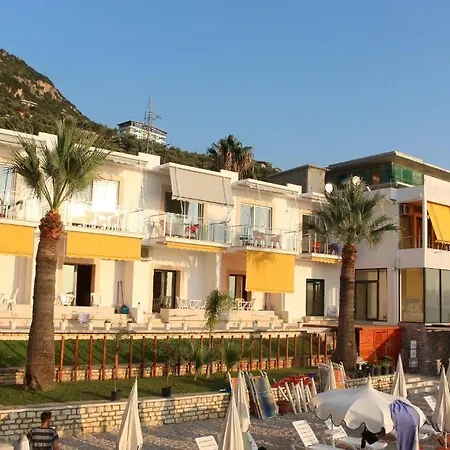 Palmanova Mardok 3* Kanine