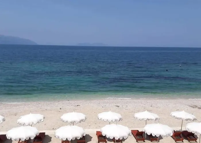 Hotel Palmanova Mardok Kanine