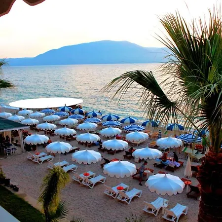 Palmanova Mardok 3* Kanine